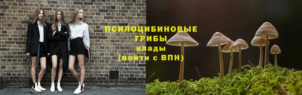 прущие грибы Сафоново