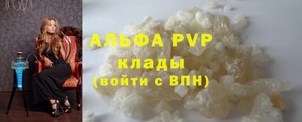 крисы Алзамай
